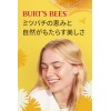 Burt's Bees Kit protector labial Burt's Bees 100% natural C/