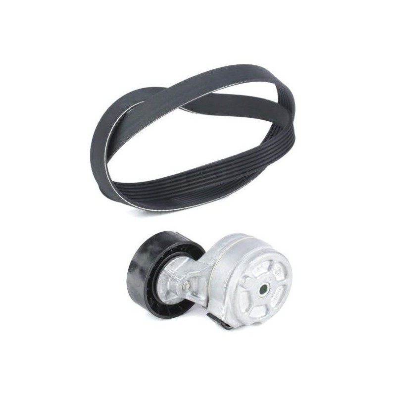 Dayco KPV038 kit belt accessory