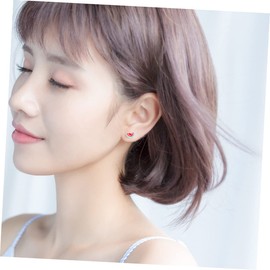 RORPOIR Sterling Silver Watermelon Ear Stud 1 Pair Cute Watermelon Stud Earrings The Summer S925 Earrings Silver Watermelon Ear Studs