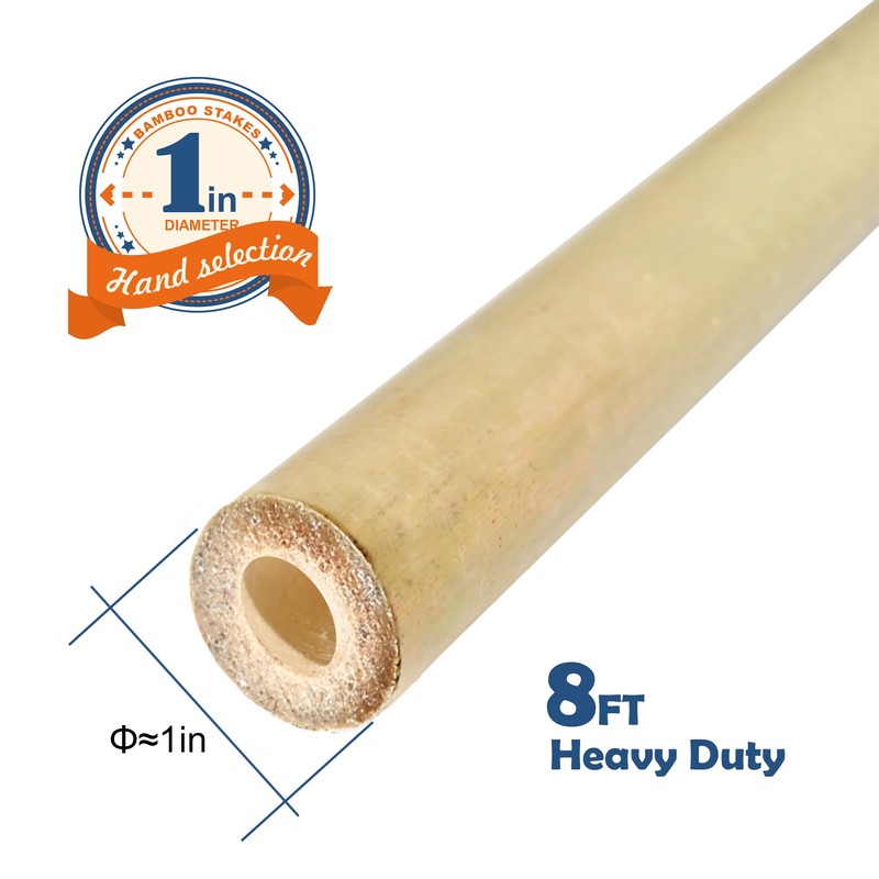 COLOtime 8FT Bamboo Stakes Plant Stakes 1 Inch Thick Diameter