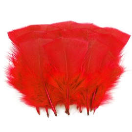 Soarer Red Turkey Feathers - 300pcs 3-5inch Feathers for Kindergarten DIY Crafts,Wedding Home Party Decorations,Dream Catcher Supplies(Red)