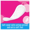 Care Free Cotton Feel Normal Fresh Scent Panty Liners |