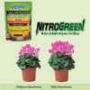 SoilMoist NitroGreen Organic Plant Fertilizer 14oz High Nitrogen Water Soluble