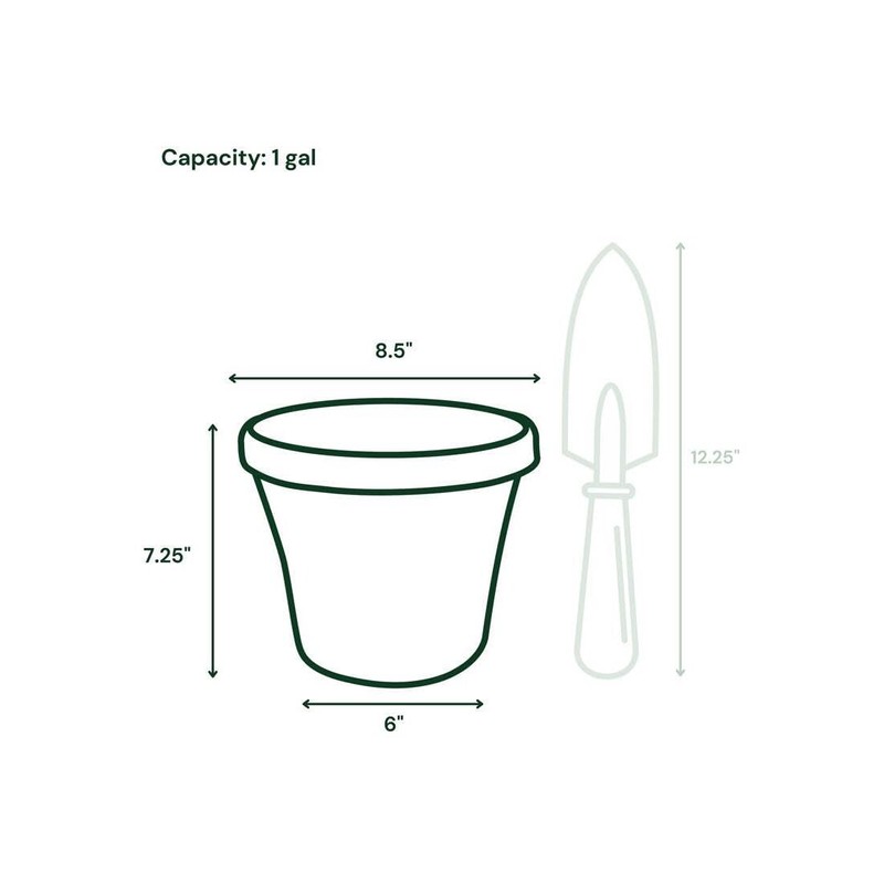 Bloem Terra Pot Planter 8" Living Green