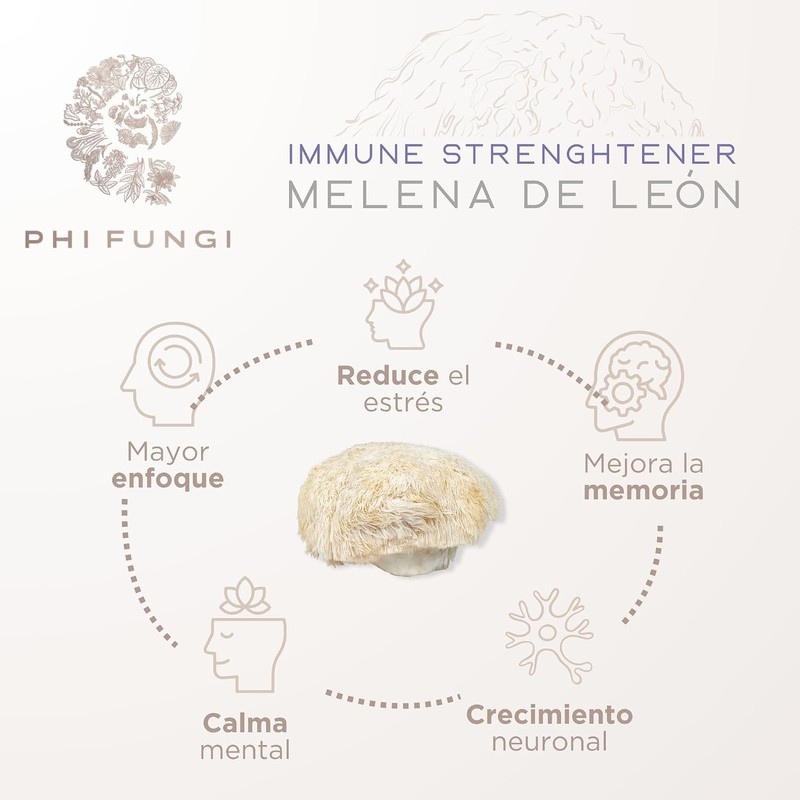 Extracto de Reishi, Shiitake y Melena de León de Doble