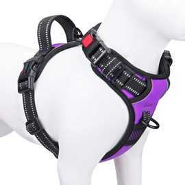 PHOEPET No Pull Dog Harness, Adjustable Dog Vest Harness for Daily Walks, with Buckle on the Neck and Reflective Strips, Control Handle for Medium and Large Dogs (Purple, XL)