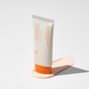 Ingredient Editor Active Marine Astaxanthin Tone-Up Sun Cream Spot Whitening