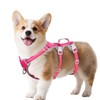 Huntboo Escape Proof Dog Harness, Escape Artist Harness, Reflective Harness