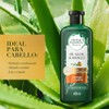 Herbal Essences Shampoo Bio:Renew 6X Aloe & Mango Protege &