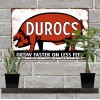 Durocs Pig Feed Man Cave Metal Sign Repro 8x12" 60577