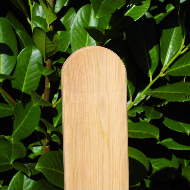 Arktic Fence Slat Larch Approx. 20 x 68 mm Length