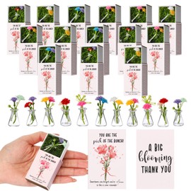 24 Set Employee Appreciation Gifts Bulk Coworker Emotional Support Gifts Inspirational Thank You Gifts Mini Bud Vases with Flowers Box Breathing Gift for Valentine Teacher Staff Office Pocket Favors