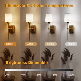 YOOWARM Wireless Rechargeable sconces Wall Decor Set of 2, 5000mAh Battery Wall Sconce with Remote & Timer, Wall Lights Operated for Bedroom, Living Room, Hallway, Bathroom, Gold