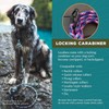 Wilderdog Climbing Rope Small Carabiner Dog Leash - Cascade -