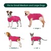 Kuoser Dog Surgery Suit Female Spay, Dog Recovery Suit Male
