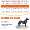 Escape Proof Dog Harness Medium Sized Dog, Six-Point Adjustable Service