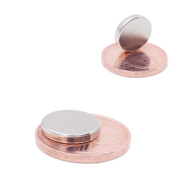 Brudazon 10 Mini Disc Magnets 10 x 2 mm N52