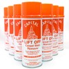 Capital Lift Off Professional Strength Carpet Stain Remover,15 oz can,