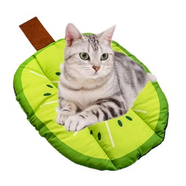 alfyng Pet Dog Pad, Cat Puppy Portable Washable Mat Cute Fruit Pattern Mat Cushion Pad Summer Bed Sleeping Mattress Cushions Dogs Seat (Kiwi)