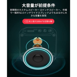 SANOVO Portable Amplifier Small Speaker Handheld Trumpet Player Teacher Promotion Guide Teaching Speaker Phone Player (Japanese Manual) (Black)