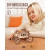 ROKR 3D Wooden Puzzle Mechanical Music Box LED Model Kit