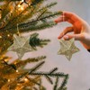 ledmomo 30 Stars Small Star Mini Star Christmas Tree Ornaments