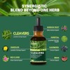 Cleavers Lymphatic Drainage Drops - Cleavers Herb Extract Tincture for