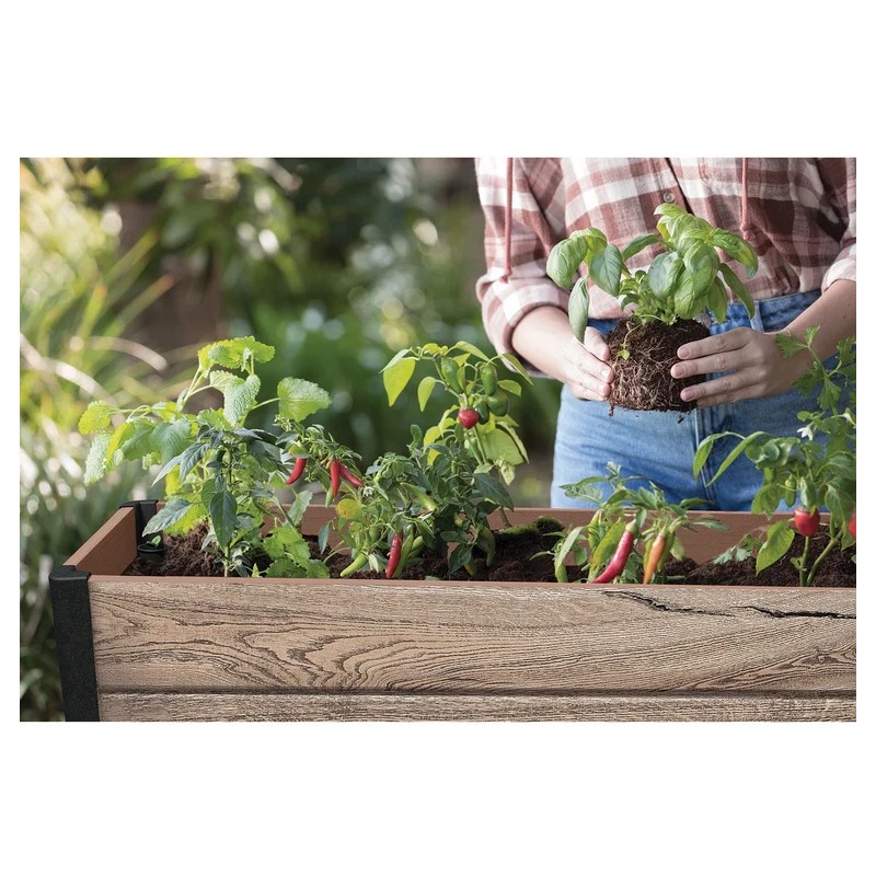 Keter Signature Collection 29 Gal. Resin Elevated Garden Bed