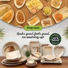ECO Leaf | 25 Pack Oval Disposable Palm Leaf Plates
