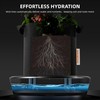 Spider Farmer 2025 Newest Gravity-Fed Self-Watering System No Power Needed,