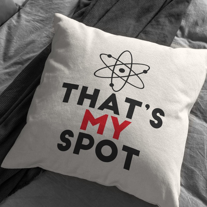 Print Maniacs Sheldon Cooper Big Bang Theory Cushion TV Series