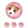 Stare Jack Russell Terrier Broken/Rough Dog Sticker Pink Back Round