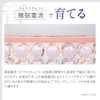 BiRyu Derma Charge Serum, Aging Care, Eye Cream, Serum, Needle