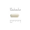 CGN 비타민C 1000mg 60베지캡슐 아스코르브산 USP등급 CGN Vitamin C 1000mg