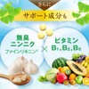 Fine Japan Ginkgo Leaf Extract, 400 Tablets (#668210) x 8