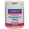 Lamberts Pycnogenol 40mg – Premium Maritime Pine Bark Extract –