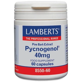 Lamberts Pycnogenol 40mg – Premium Maritime Pine Bark Extract – Standardised for Quality – 60 Vegan Capsules