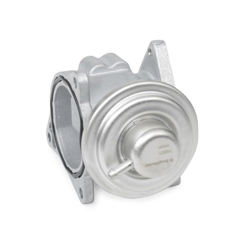 BorgWarner 7496D/1 EGR Valve