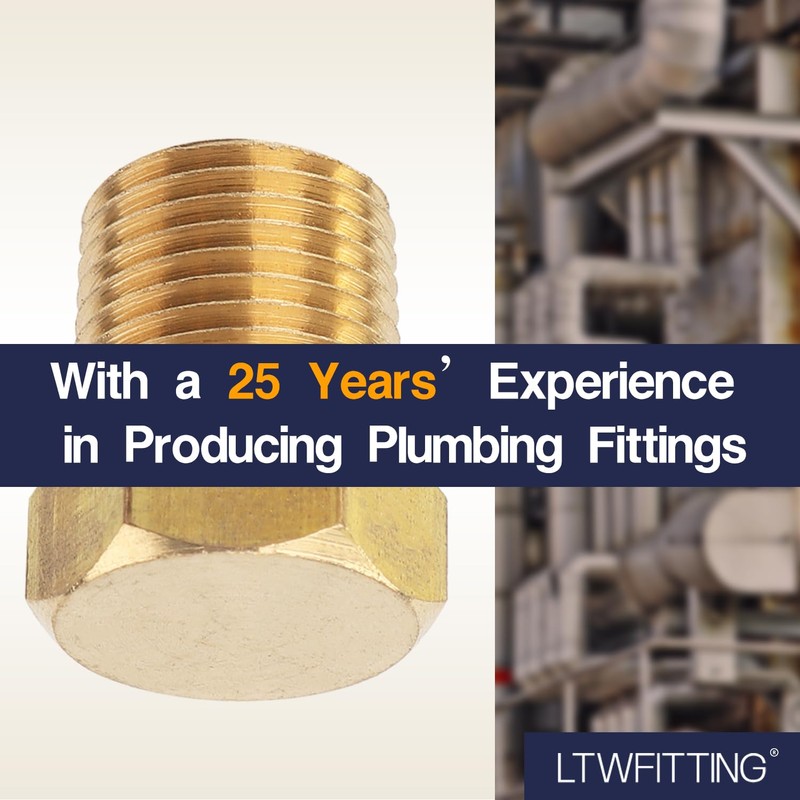 LTWFITTING Hex Plug Male Screw Size R (PT) 1/8 (Pack