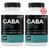 Renew Actives GABA 1300mg – High Potency Calm & Relaxation