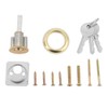 LZKW Heavy Duty Metal Anti-Gate Locks, Key Lock for Iron