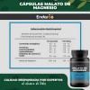 Malato Magnesio 500 Cápsulas Alta Absorción Gluten