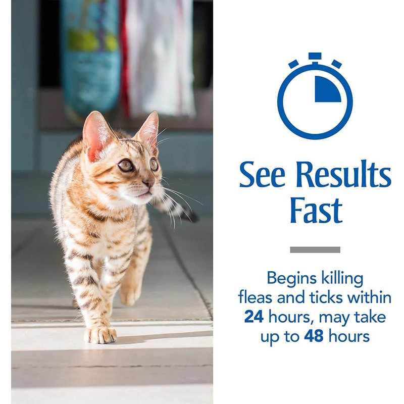 PetArmor Plus Flea & Tick Prevention for Cats with Fipronil