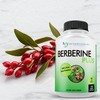 DOCTOR RECOMMENDED SUPPLEMENTS Berberine Plus 1200mg Per Serving - 120