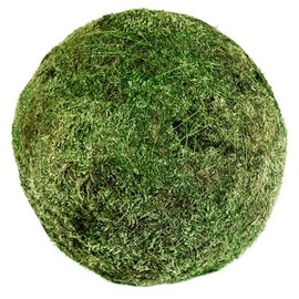 SuperMoss (21679 Preserved Moss Balls – Natural Green Decor for Home, Weddings & Events – Vase Fillers & Centerpieces, 18”, Fresh Green