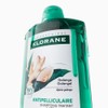 클로란 [지루성두피&가려움케어] 갈랑가 진저 비듬 샴푸 400ml x 2개 +