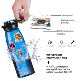 50pcs Funny Dog Meme Cute Animal Kawaii Vinyl Sticker Pack for Laptop, Phone, Water Bottles, Computer Pet Sticker Decals Gifts for Kids Adult Teens