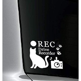 NRJ991-DRNW Car Sticker with Dash Recorder Cat and Footprint Motif Waterproof Vehicle OK Cutting Sticker (White)