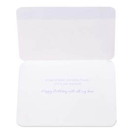 Papyrus Birthday Card for Sister (Amazing Sister, Incredible Friend)