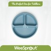 WeeSprout Suction Plates for Babies & Toddlers - 100% Silicone,